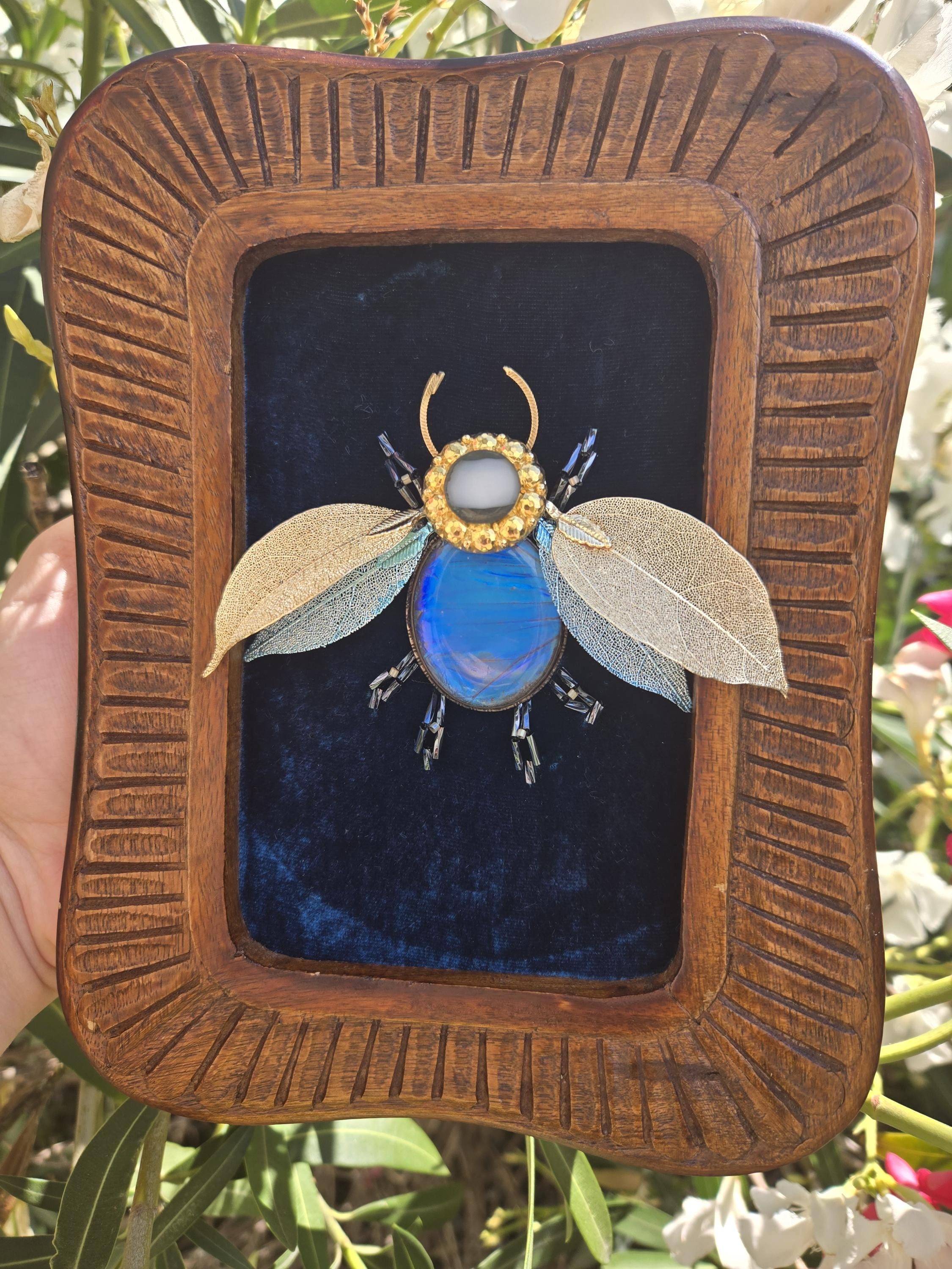 Skykeeper Beetle