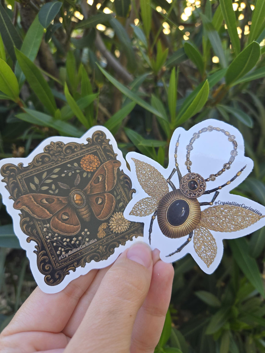 Crystalline Curiosities Stickers