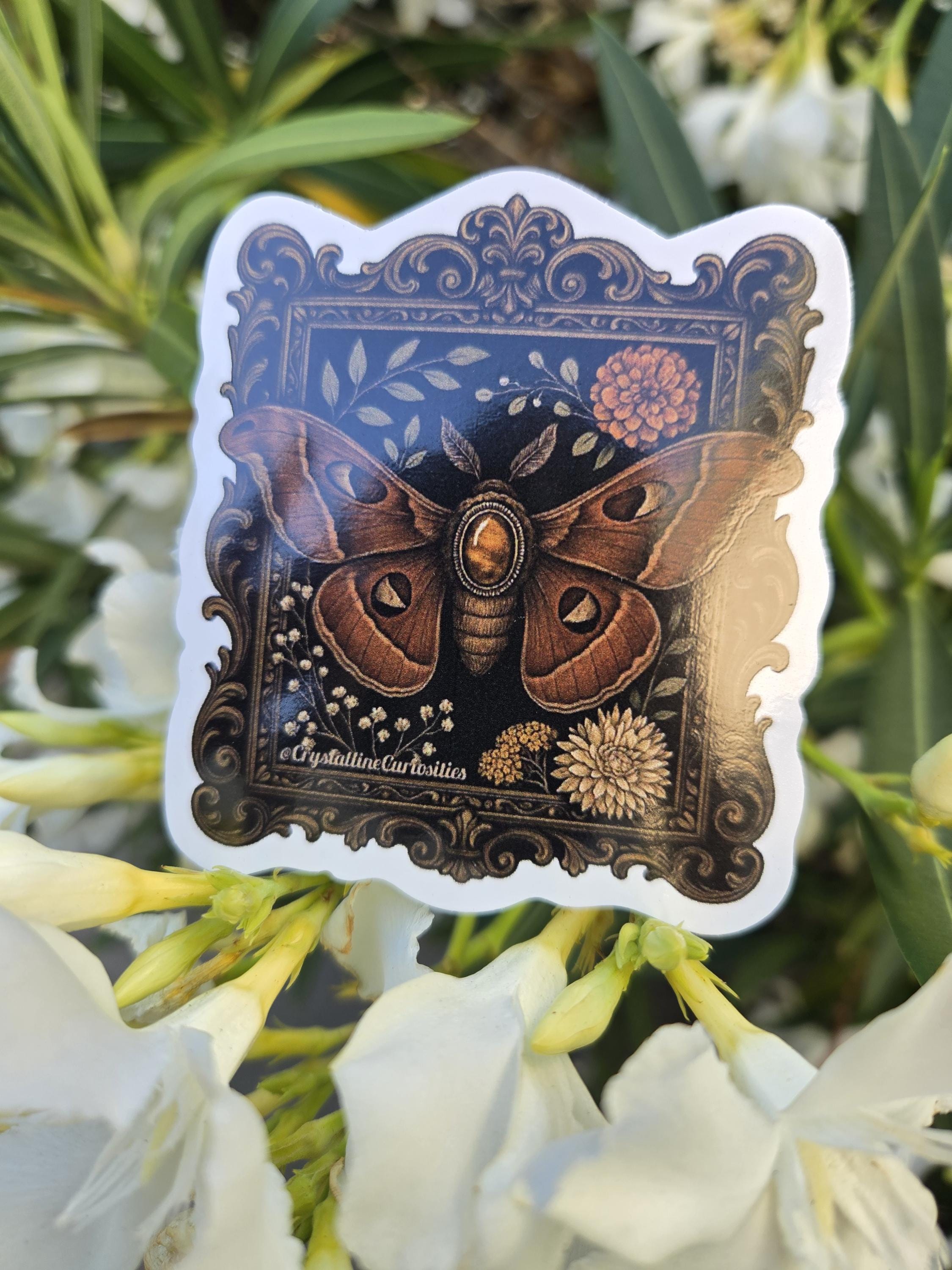 Crystalline Curiosities Stickers