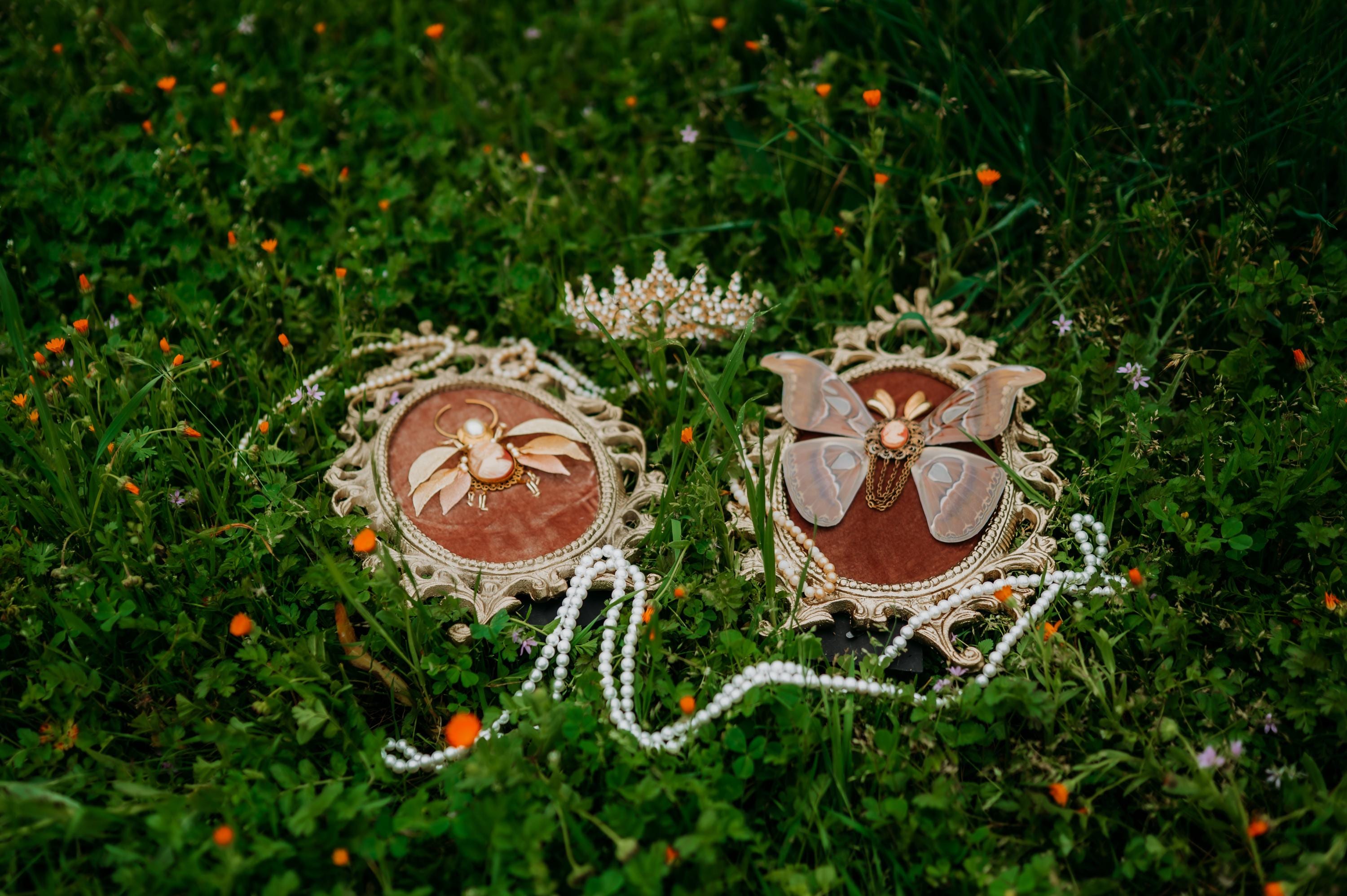 Whisper Devotion Beetle