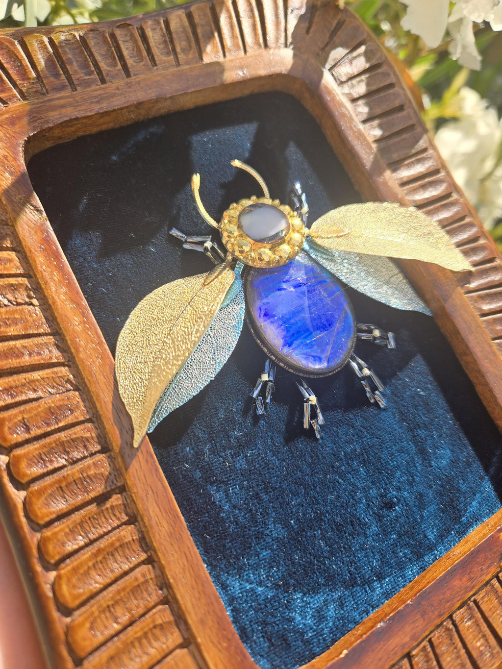 Skykeeper Beetle