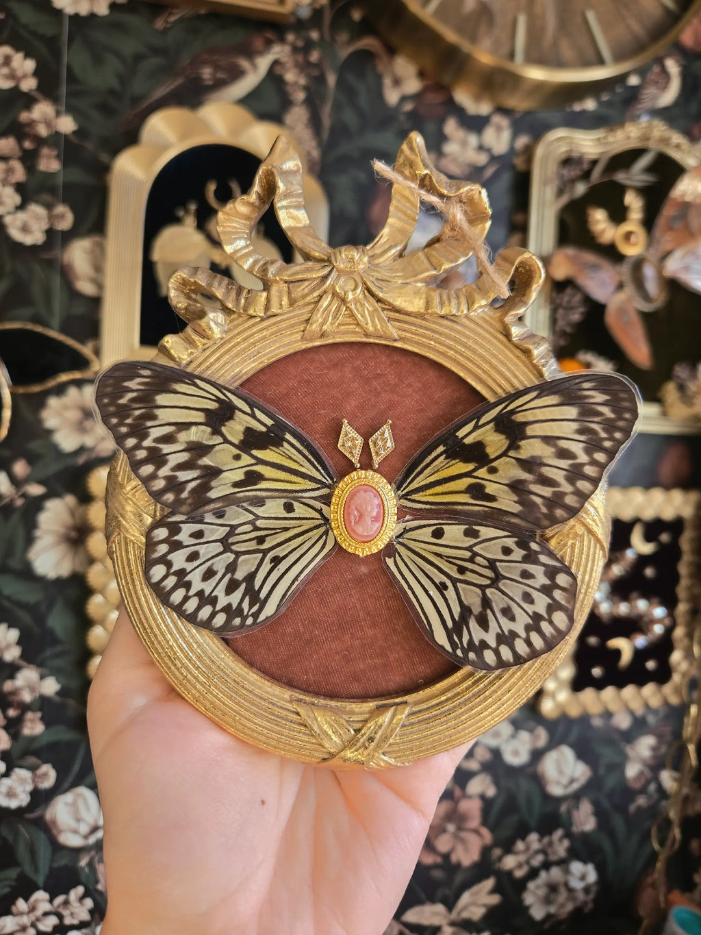 Petal & Wing