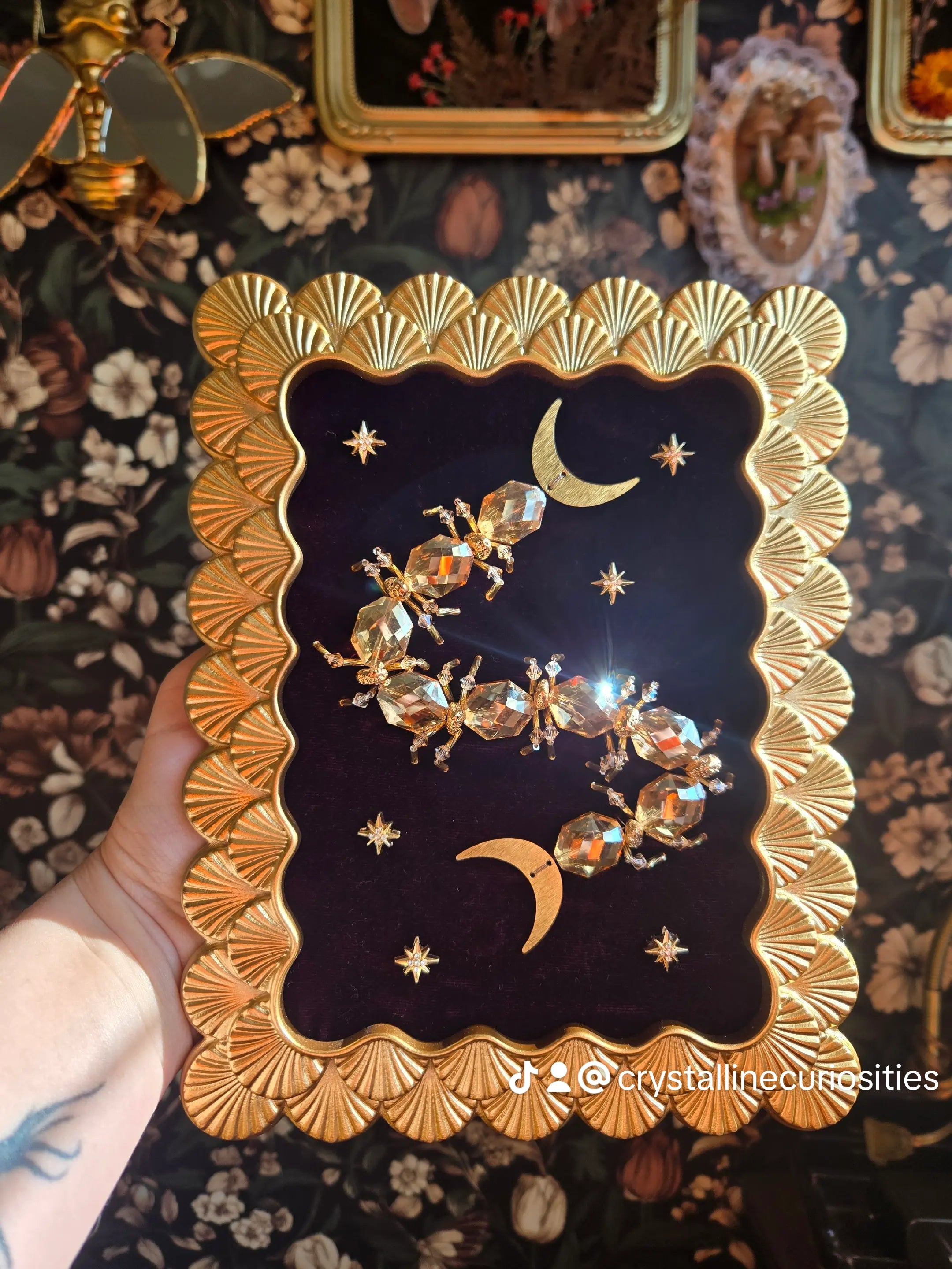 Wine Purple Celestiped