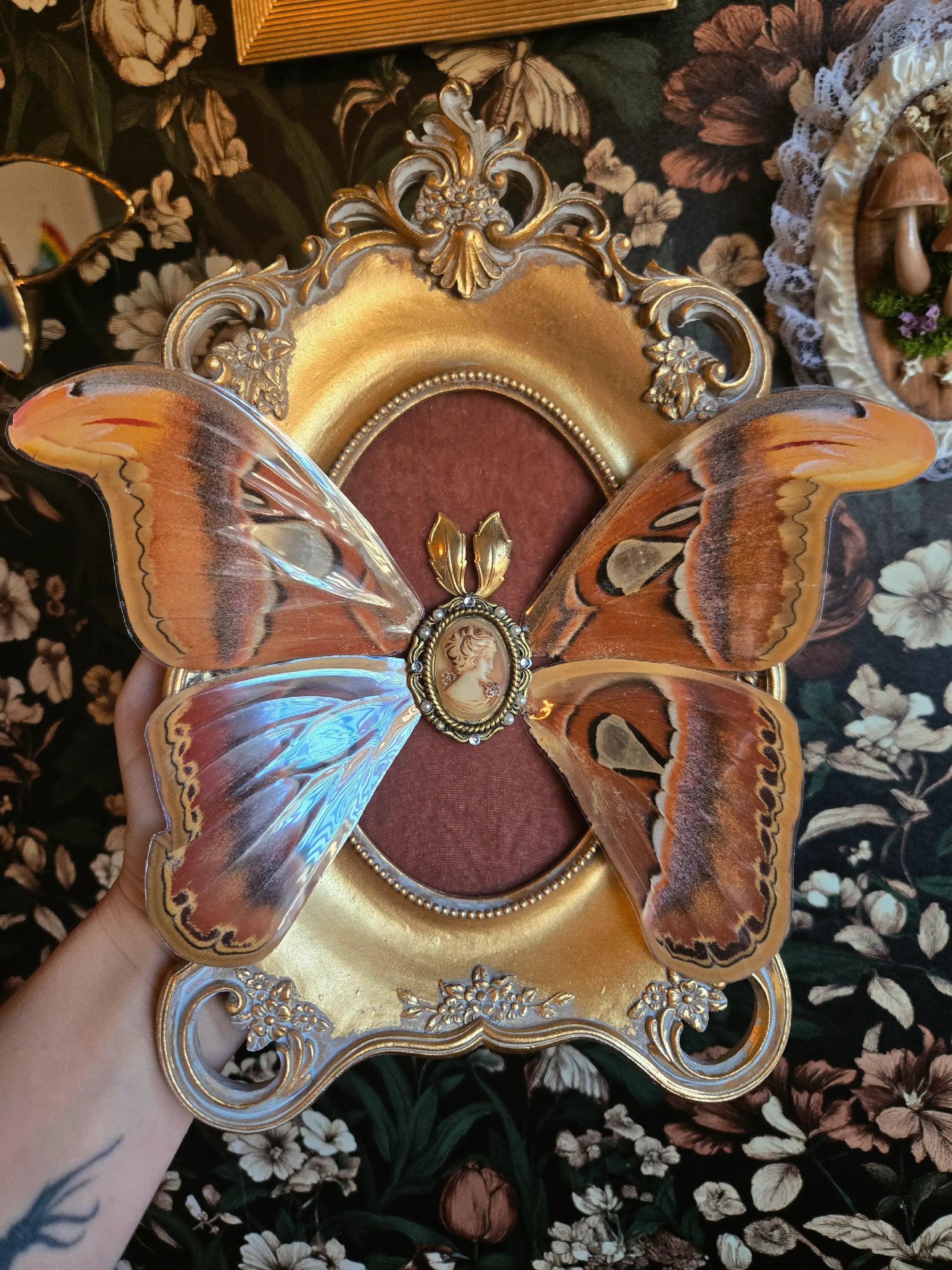 Where Wings Remember